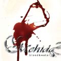 Blood & Water - Mehida (CD)