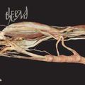 End - Transfer Trachea Reverb.. (CD)