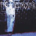 Pig Destroyer - Book Burner (CD)