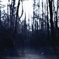 Weekend Nachos - Still (CD)