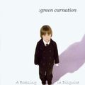 Green Carnation - A Blessing In Disguise (CD)