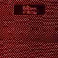 At The Soundawn - Shifting (CD)