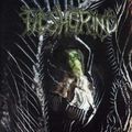 Fleshgrind - Seeds Of Abysmal Torment (CD)