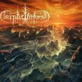 Cryptic Forest - Ystyr (CD)