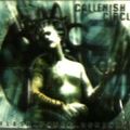 Callenish Circle - Flesh Power Dominion (CD)