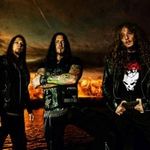 Destruction au fost intervievati in California (video)