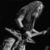Albumul tribut Dimebag Darrell devine o dezamagire pentru fani Albumul tribut Dimebag Darrell devine o dezamagire pentru fani