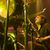 Slayer si Machine Head canta piese Judas Priest si Iron Maiden (video) Slayer si Machine Head canta piese Judas Priest si Iron Maiden (video)