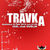 Concert Travka in Dublin Pub din Iasi