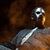 Paul Gray, basistul Slipknot, a decedat la varsta de 38 de ani