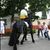 Nutu Camataru a plecat din inchisoare calare pe cal (video) Nutu Camataru a plecat din inchisoare calare pe cal (video)