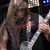 Finntroll la Hellfest