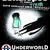 Concert Les Skalopes in Underworld Concert Les Skalopes in Underworld