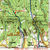 Concursul de turism ecologic Concursul de turism ecologic