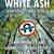 Concert White Ash in club Underworld din Bucuresti Concert White Ash in club Underworld din Bucuresti