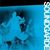 Soundgarden pregatesc lansarea unui nou videoclip Soundgarden pregatesc lansarea unui nou videoclip