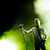 In Flames inregistreaza un nou album In Flames inregistreaza un nou album