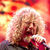 10 piese rock care depasesc 10 minute 10 piese rock care depasesc 10 minute