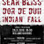Concert Sear Bliss, Dordeduh si Indian Fall la Cluj-Napoca