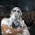 Basistul Metallica a fost acoperit cu frisca de ziua lui (foto, video) Basistul Metallica a fost acoperit cu frisca de ziua lui (foto, video)