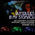 Concert Butterflies in My Stomach in Elephant Pub Concert Butterflies in My Stomach in Elephant Pub