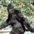 Bigfoot a fost filmat in sud-estul Americii (video)
