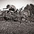 While She Sleeps au lansat un nou videoclip: Crows While She Sleeps au lansat un nou videoclip: Crows