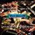 Van Halen lanseaza un nou album in 2011