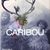 Caribou concerteaza la Palatul Bragadiru din Bucuresti!