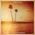 Kings Of Leon au lansat un videoclip nou: Pyro Kings Of Leon au lansat un videoclip nou: Pyro
