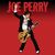 Joe Perry ofera un remix pentru Run Rudolph Run