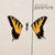 Hayley Williams: Marea parte a Brand New Eyes este despre Josh Farro Hayley Williams: Marea parte a Brand New Eyes este despre Josh Farro