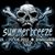 Noi nume confirmate pentru Summer Breeze 2011