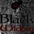Black Widow au deschis magazin in Bucuresti Black Widow au deschis magazin in Bucuresti