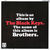 The Black Keys au castigat batalia cu Vampire Weekend pentru Grammy The Black Keys au castigat batalia cu Vampire Weekend pentru Grammy
