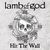 Lamb Of God lanseaza un nou single Lamb Of God lanseaza un nou single