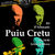 Concert folk cu Puiu Cretu in Watt Club