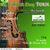 ST. Patrick's Day Tour: Oricine vrea sa fie irlandez ST. Patrick's Day Tour: Oricine vrea sa fie irlandez