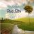 Filmari de la inregistrarile noului album Owl City Filmari de la inregistrarile noului album Owl City