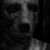 Prima imagine din noul film semnat de Rob Zombie