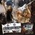 Mike Portnoy a cantat alaturi de Anthrax (video)