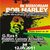 Trei concerte tribut Bob Marley in Romania
