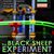 Concert Black Sheep Experiment La Spatiu
