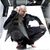 Devin Townsend lucreaza la un nou album Devin Townsend lucreaza la un nou album