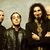 Filmari profesionale cu System Of A Down la Rock Am Ring Filmari profesionale cu System Of A Down la Rock Am Ring