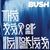 Bush - The Sea Of Memories (cronica de album) Bush - The Sea Of Memories (cronica de album)