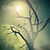 Rwake - Rest (cronica de album) Rwake - Rest (cronica de album)