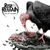 Rise To Remain au lansat un videoclip nou: The Serpent