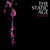 The Static Age sustin trei concerte in Romania in februarie The Static Age sustin trei concerte in Romania in februarie