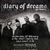 Concert Diary Of Dreams in Silver Church